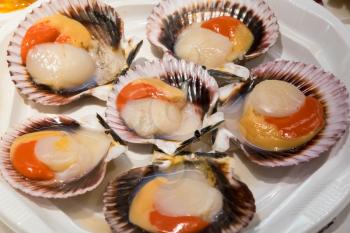 Scallops in shells on plate of hors-d'oeuvres or entradas in food counter in Spanish market in Madrid