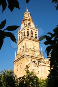 Bell tower of Mosque and Cathedral of our Lady of the Assumption in Cordoba, Andalucia, Spain