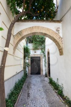 Narrow path leading to door to home in Cordoba, Spain, Europe