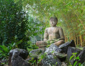 Statue of Buddha on rocky ground in bamboo plantation in Kauai