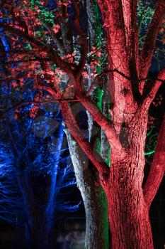 Scary concept photo of tree trunks lit with red, white and blue lights in frightening forest