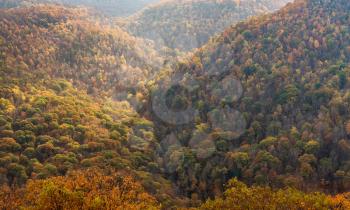 View of hills covered with fall trees from Raven Rock overlook at Coopers Rock State Forest West Virginia