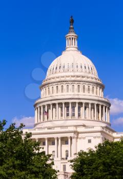 Ornate dome of the Capitol building at Congress in Washington DC in USA on a bright sunny summer day
