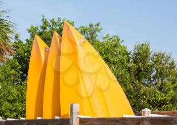 Three yellow prows of canoes or kayak in rack with trees and blue sky behind the boats