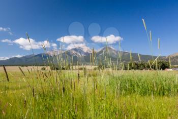 Grasses and farmland frame Mount Princeton near Buena Vista Colorado
