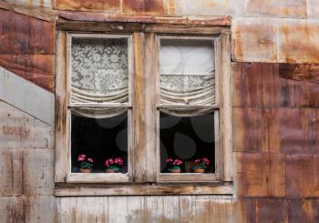 Old wooden windows and flowers in ghost town of St Elmo in Colorado