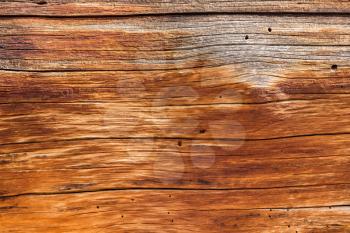 Detailed background abstract image of the aging wood of a dead cedar tree in macro close up