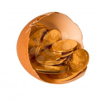 Isolated selection of pure gold USA treasury coins in broken egg shell with path illustrating financial security of a retirement nest egg