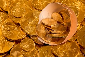 Gold coins from USA treasury in a broken egg shell as nest egg illustration against a golden background of other coins