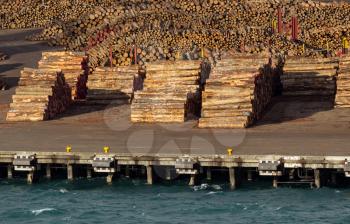 Piles of cut tree logs and trunks on wharf of Wellington Harbour in New Zealand ready for export