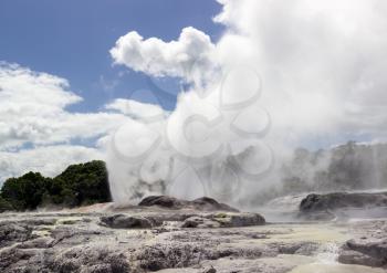 Pohutu Geyser at Whakarewarewa is a geothermal area within Rotorua city in the Taupo Volcanic Zone of New Zealand