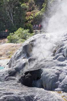 Whakarewarewa is a geothermal area within Rotorua city in the Taupo Volcanic Zone of New Zealand