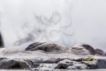 Pohutu Geyser at Whakarewarewa is a geothermal area within Rotorua city in the Taupo Volcanic Zone of New Zealand