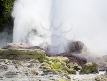 Sulfur deposits at Whakarewarewa a geothermal area within Rotorua city in the Taupo Volcanic Zone of New Zealand