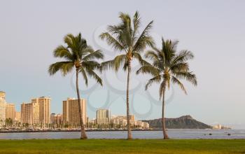 Panorama of the skyline of Honolulu and Waikiki from Ala Moana park as the sun sets with three palm trees framing the scene