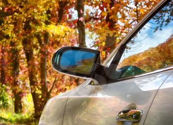 Red autumn fall leaves refelected in side of modern car and mirror to illustrate drive to leaf peep to see the season