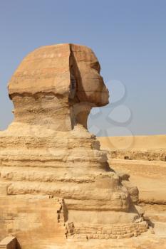 Close side view of the head of the Sphinx at the Pyramids of Giza in Cairo Egypt with birds perched on head of the statue