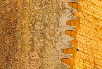 Macro image of the sharp teeth of large circular saw blade which is rusty and is placed against sawn wooden panel
