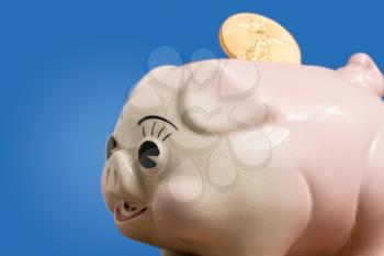Large gold coin being inserted into a pottery piggy bank. Macro show with the focus on the face and eyes of the pig to illustrate savings or investment
