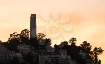 Skyline of the Coit Tower and residential area of San Francisco in California. Sihouette of the construction and the homes against the orange sky of sunset