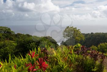 Keopuka rock overlook from garden with pacific ocean in the background