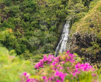 Sun illuminates the twin falls of Opaekaa waterfall on Hawaiian island of Kauai