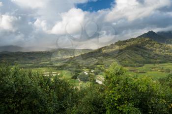 Panoramic view of the taro fields in the Hanalei valley from Princeville overlook in Kauai in Hawaiian islands in high resolution