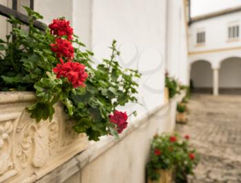 Red flowers or geraniums in stone window box or flowerpot in front of old courtyard