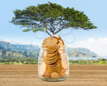 Large tree growing out of a glass savings jar full of pure gold coins to illustrate investment planning