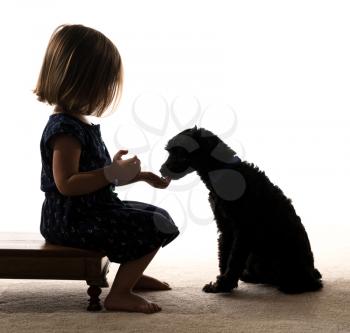 Isolated portrait of your girl feeding her family pet dog in silhouette