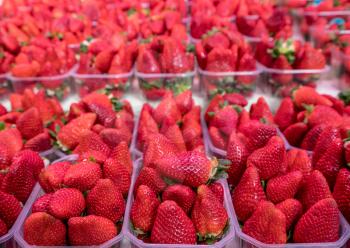 Fresh ripe strawberries in plastic boxes on market stall in Valencia Spain