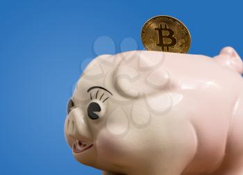 Large bitcoin coin being inserted into a pottery piggy bank to illustrate savings or investment