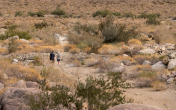 Hikers on trail near Borrego Springs city in the Anza Borrego Desert State park in California