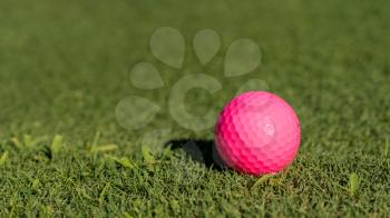 Pink colored golf ball on the edge of the putting green as concept for women golfers