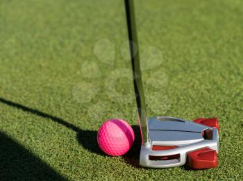 Pink colored golf ball with putter on the edge of the putting green as concept for women golfers