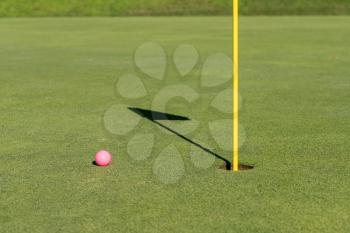 Pink colored golf ball by the flag and hole on putting green as concept for women golfers