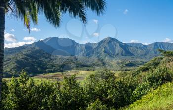 Palm tree frames Hanalei Valley from Princeville Overlook in Kauai