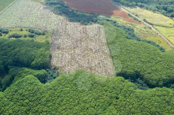 Aerial view of heavily wooded landscape of hawaiian island of Kauai from helicopter flight