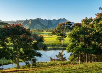 Flowering trees frame view of the Na Pali mountains over fairy tale landscape of Kauai