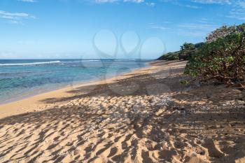 Deserted sandy Larsen's Beach near Pakala point on Kauai