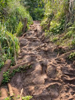 Very slippery and muddy pathway from Princeville to Queens Bath on coast of Kauai in Hawaii