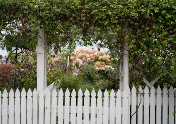 White picket fence around colorful garden in the old town of Stavanger in Norway