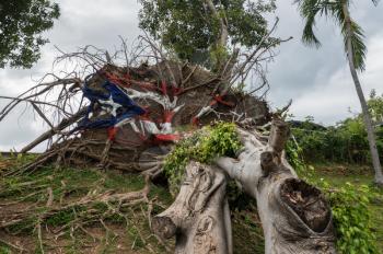 SAN JUAN, PR - MARCH 4, 2018: Painted USA flag on uprooted tree from Hurricane Maria in San Juan, Puerto Rico.