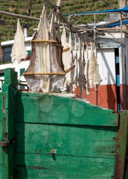 Cod Fish or Cat Fish drying on boat at Camara de Lobos on island of Madiera