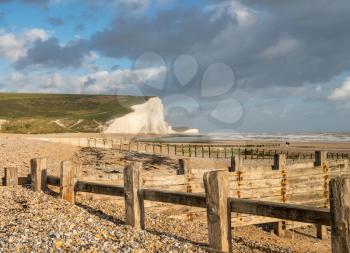 Moss covered wooden groyne frames the chalk cliffs of the Seven Sisters near Eastbourne