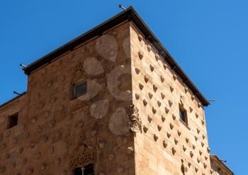 Ornate stone carvings of sea shells on the Casa de la Conchas in Salamanca Spain
