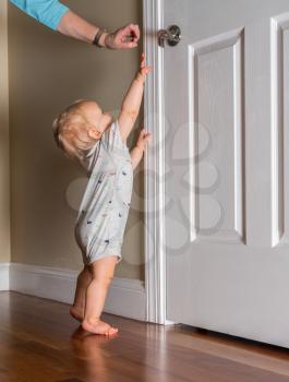 Young toddler baby about 12 months old trying to reach the door handle to escape from the room