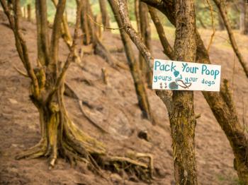 Pick up or pack your poop sign on tree advising people to not leave waste on the ground in forest