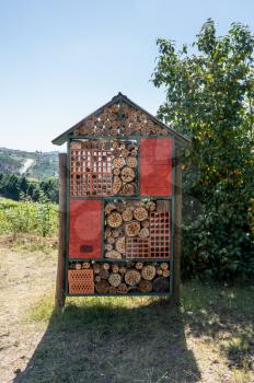 Construction for bird and insect hotel or home in garden with drilled tree trunks and branches