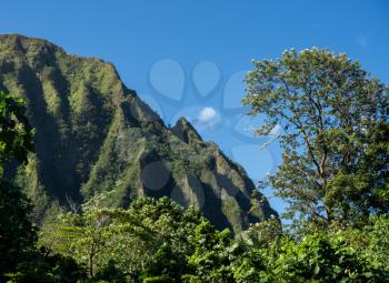Steep tree covered mountain ridge rises above the Ho'omaluhia Botantical Gardens on Oahu